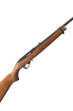 Ruger 10/22 rifle