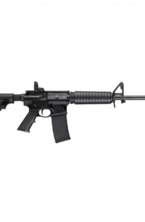 Smith & Wesson M&P15 Sport II review
